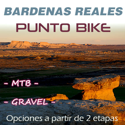 thumb-Bardenas-reales-Punto-Bike