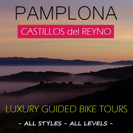 thumb-pamplona-Castillos-del-Reyno