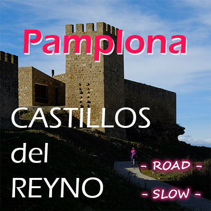 thumb-pamplona-Castillos-del-Reyno