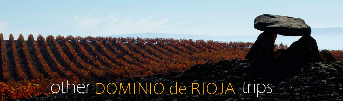 Other Dominio de Rioja trips