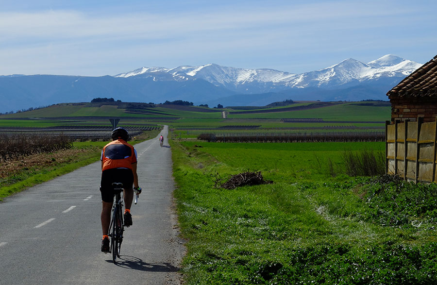 Wineyards under La Demanda Range