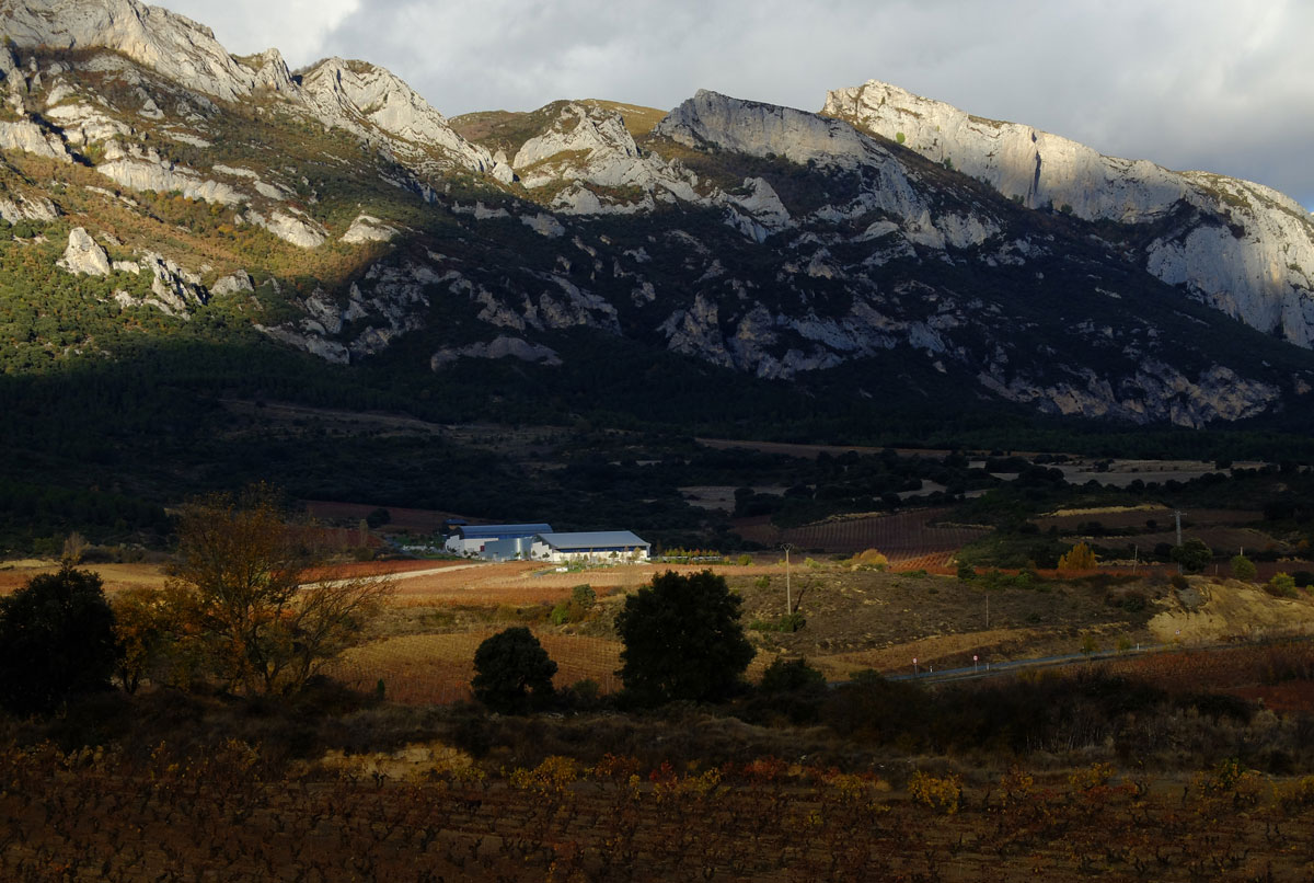 Macan winerie in Autumn-2