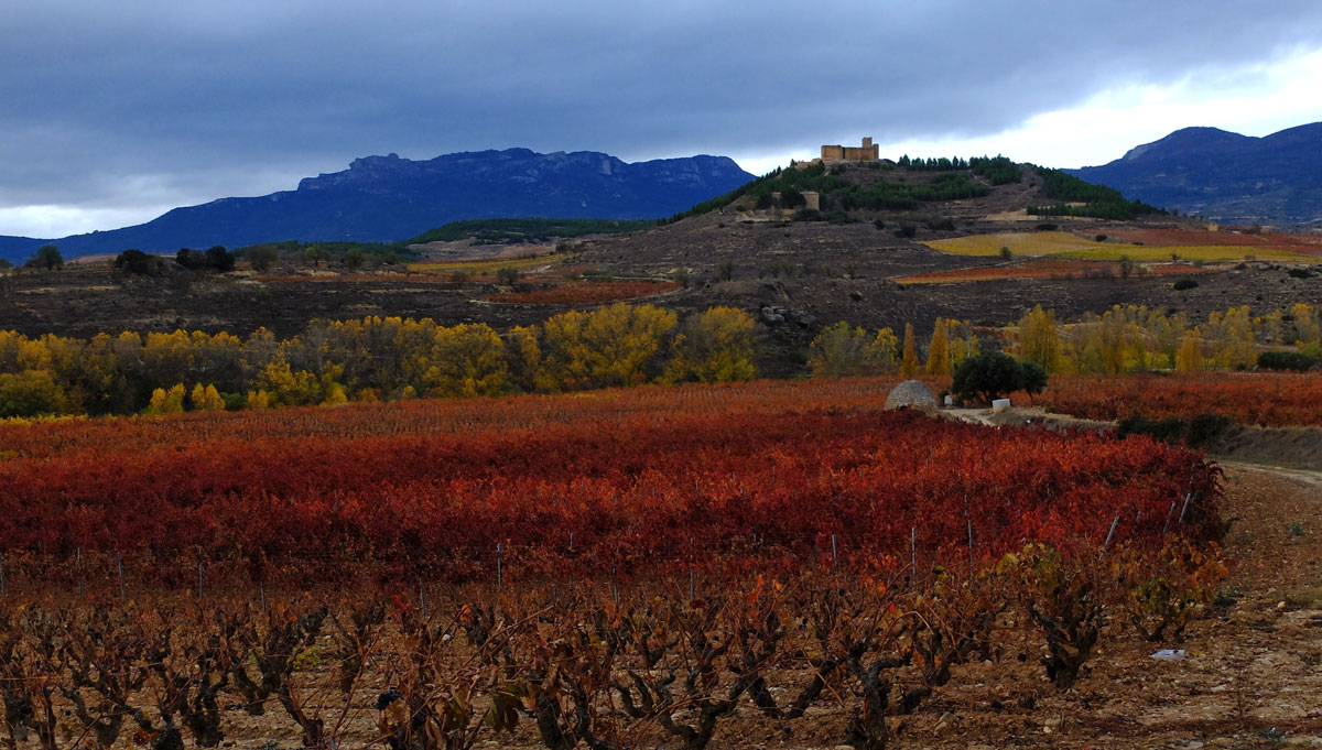 Davalillo Castle in november 