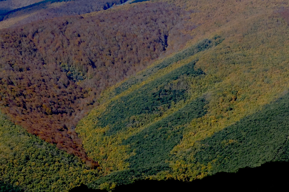 Texturas en Moncalvillo