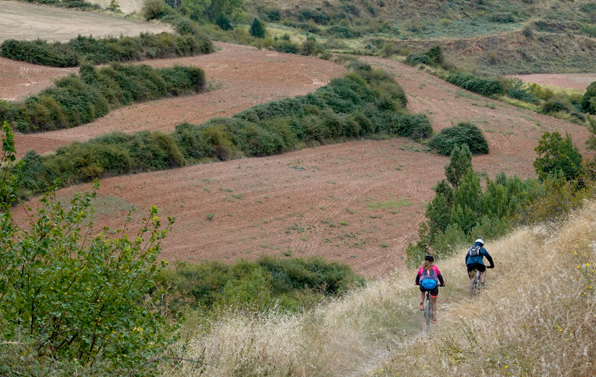 Rioja singletracks
