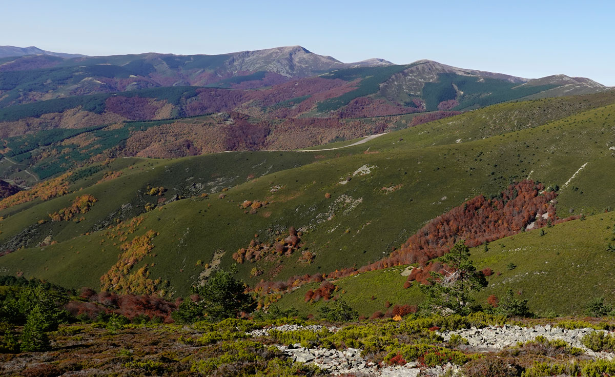 La Demanda high area 1