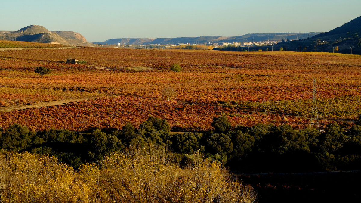 Surroundings of Logroño