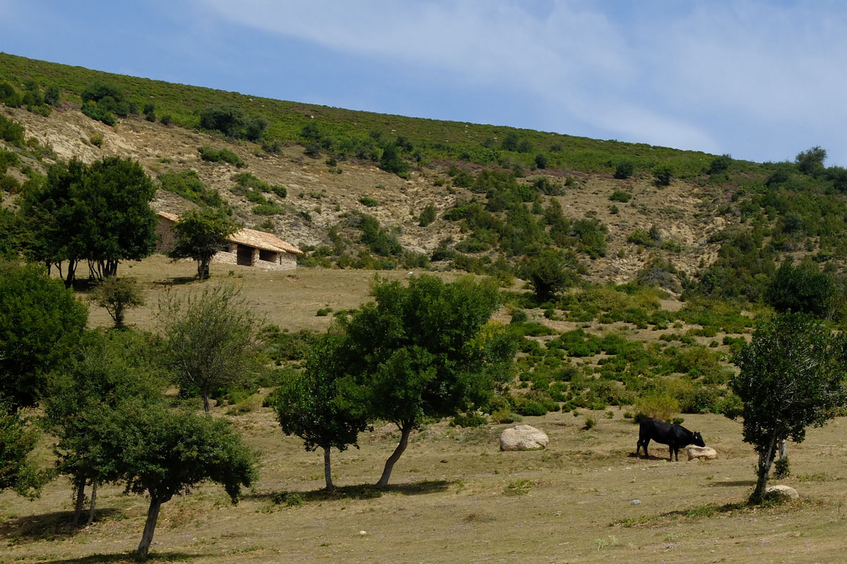 Hermitage of San Bartolome