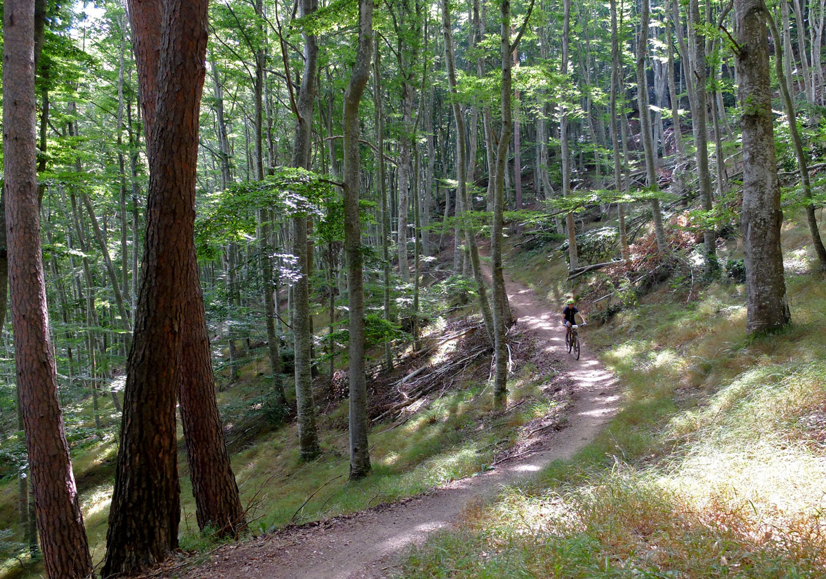 flow for all audiences