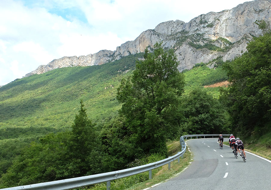 Navarra de girasoles