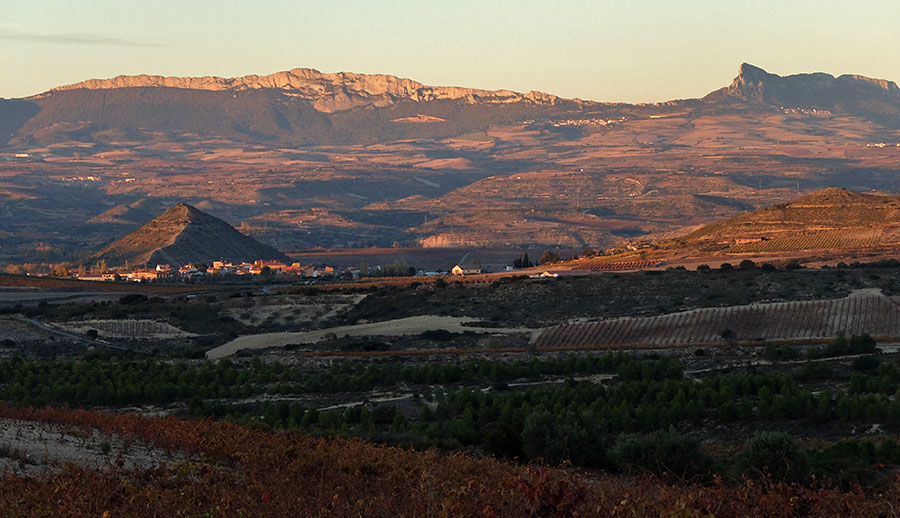 surroundings of El Cortijo