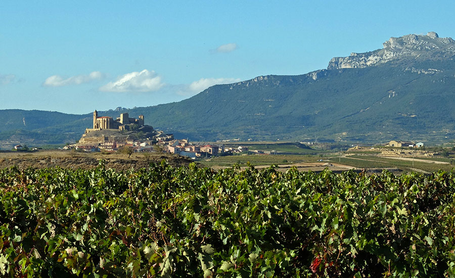 Castle of San Vicente