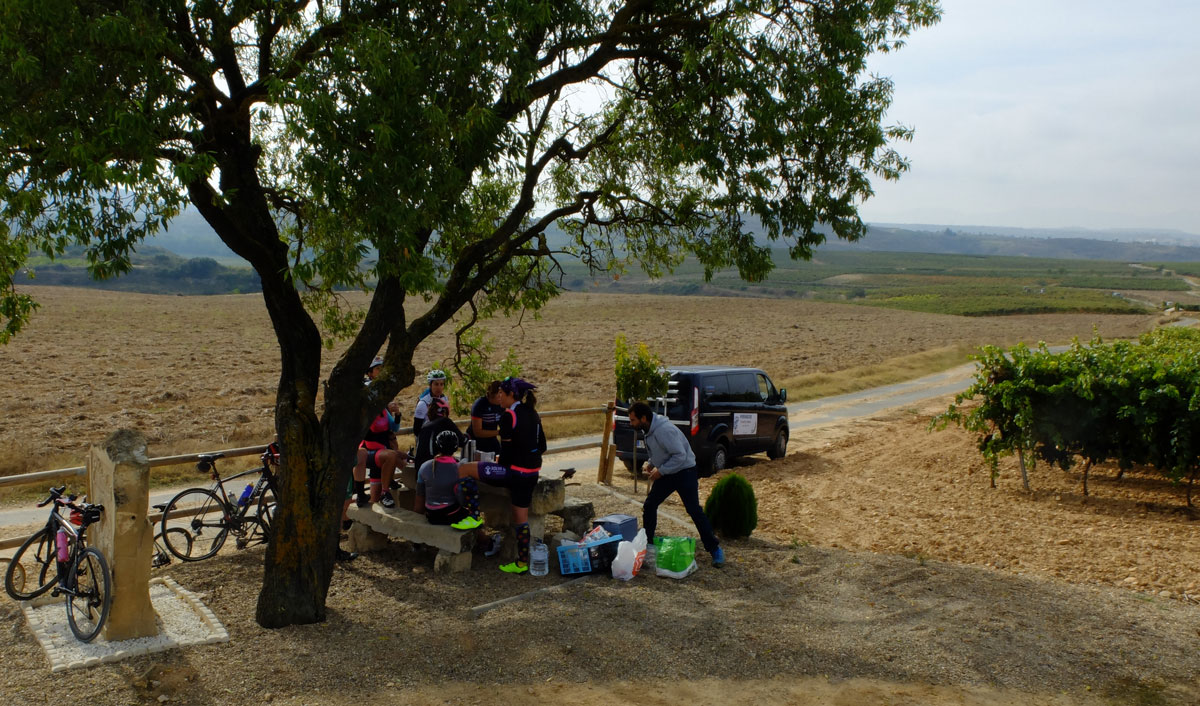 Avituallando en el viñedo