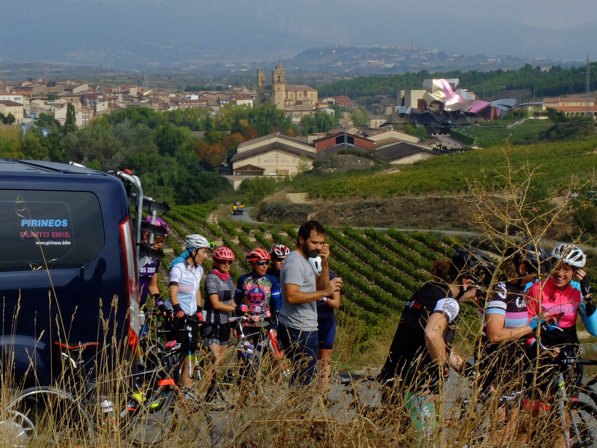 Marques de Riscal wineyards