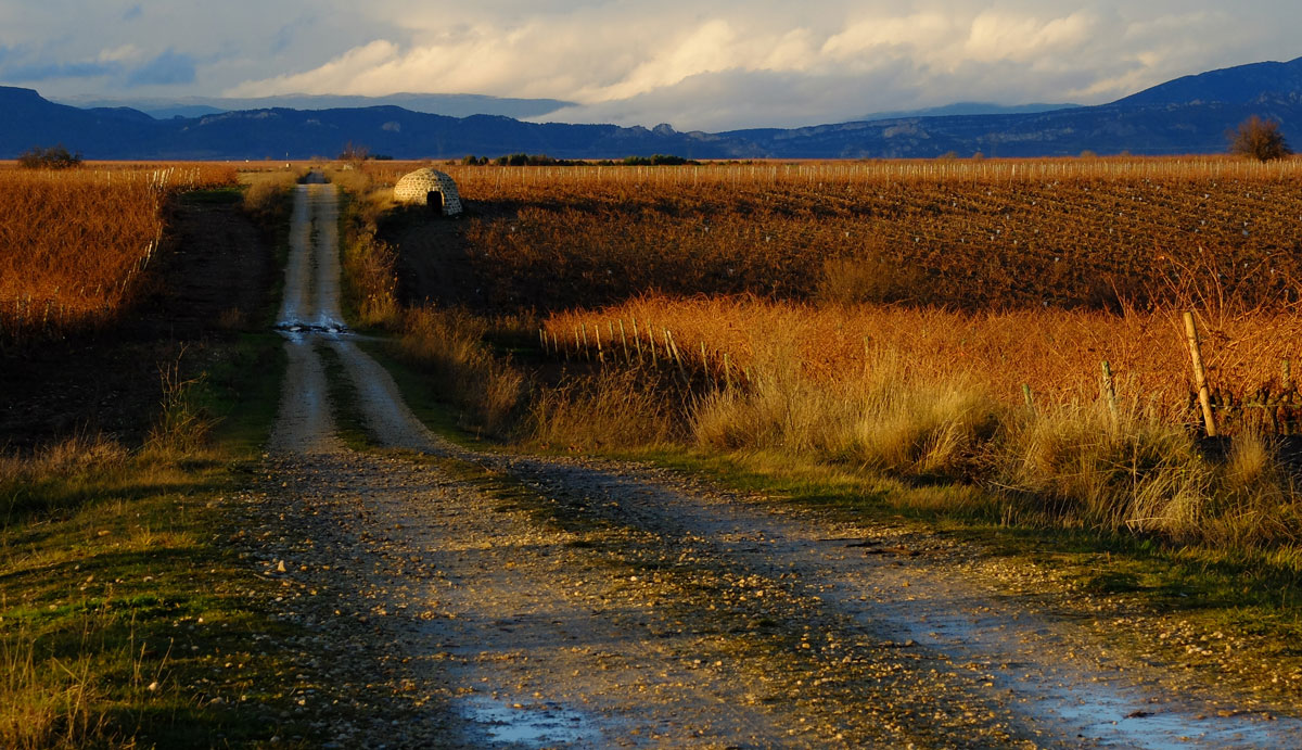 Chozo in the wineyards-1