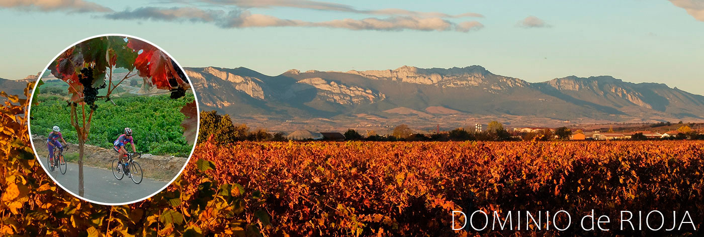 panoramic-Dominio-de-Rioja-Bike-Route
