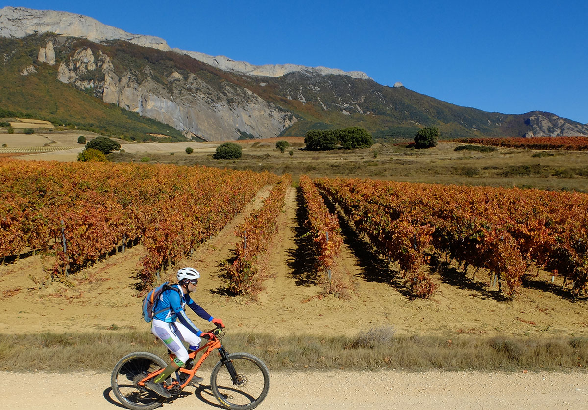 La-Rioja Vineyards and Cantabria-Range