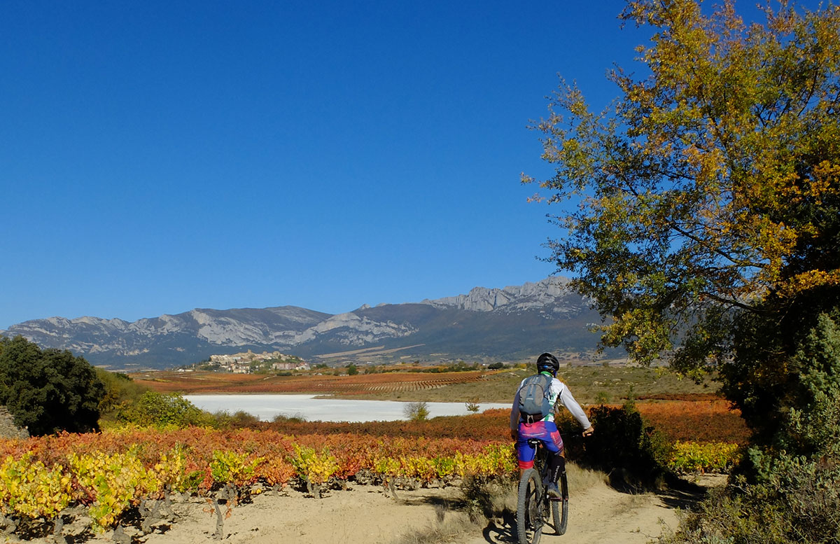 La-Rioja-Cantabria-Range-Laguardia