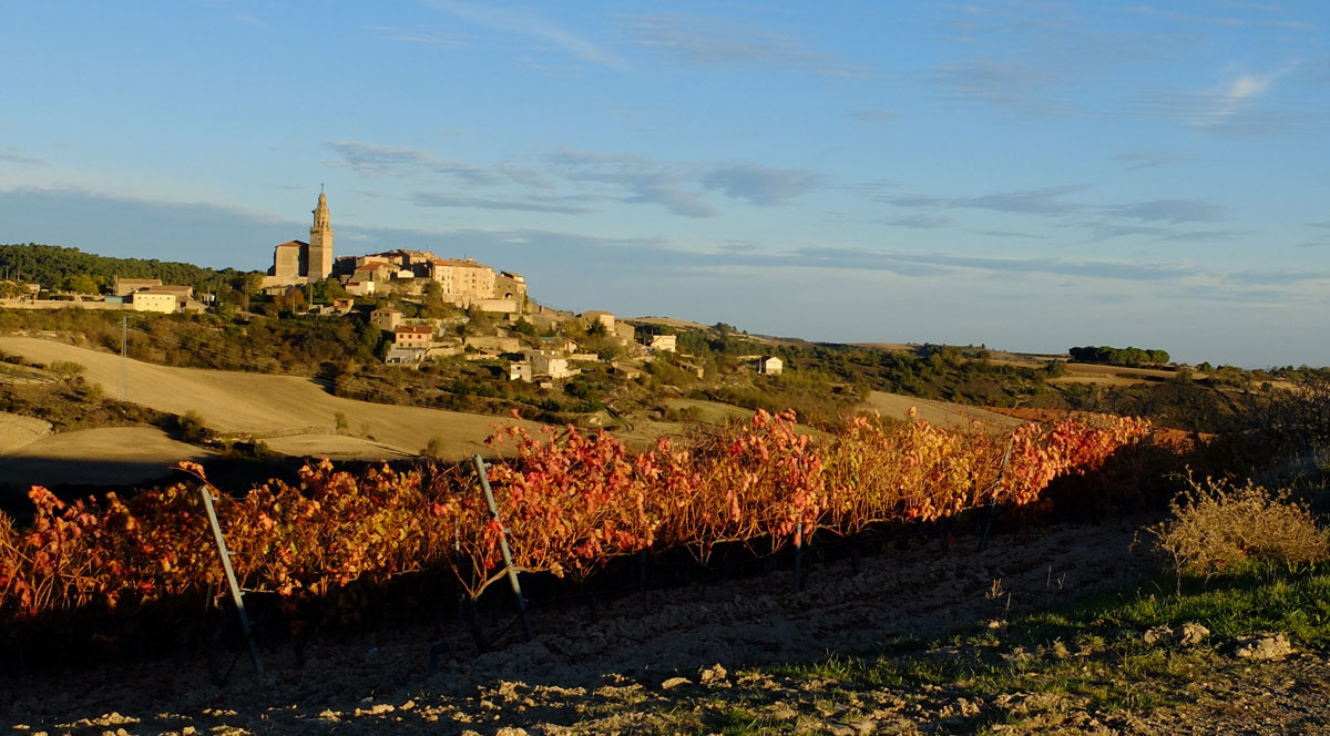 Walled town of Labraza