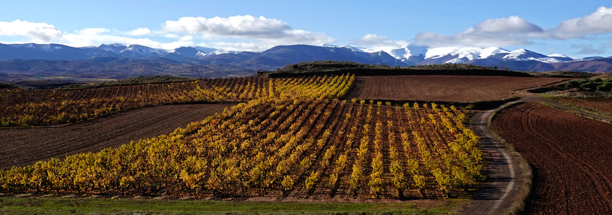 Sierra de La Demanda nevada
