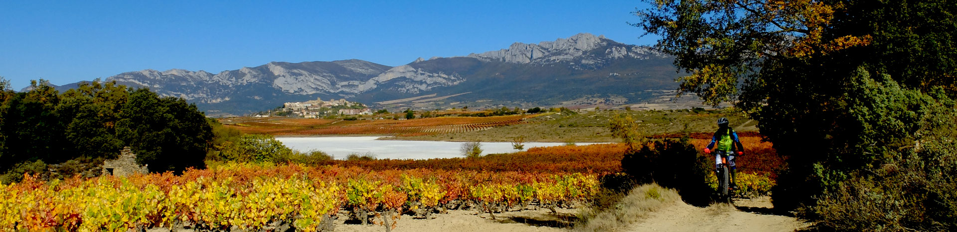 Panoramic vision over Laguardia