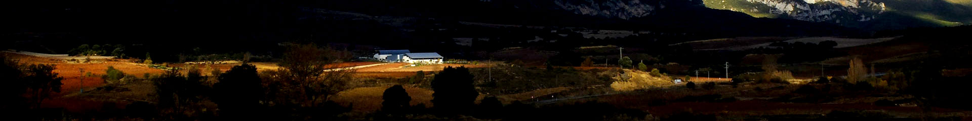 Bodega y viñedos Macan