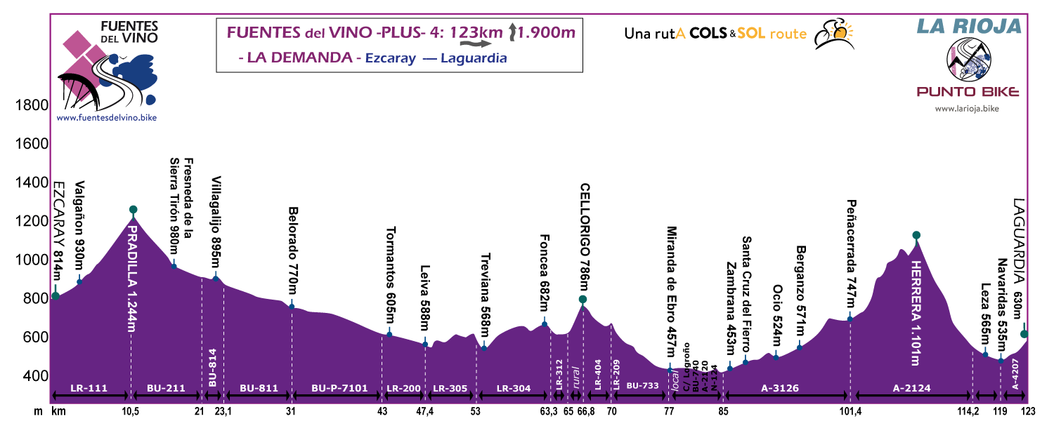 Profile-Fuentes-delVino-La-Demanda-stage-4-Plus