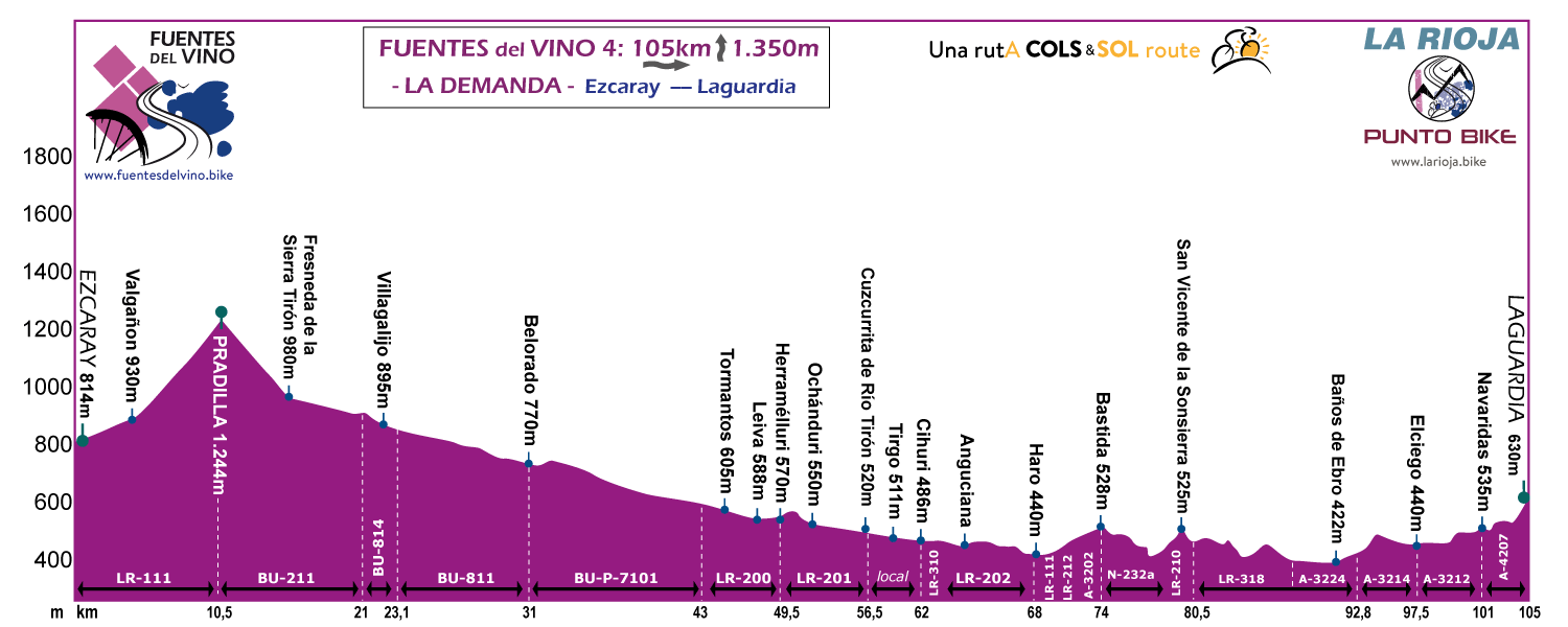 Profile-Fuentes-delVino-la-Demanda-stage-4
