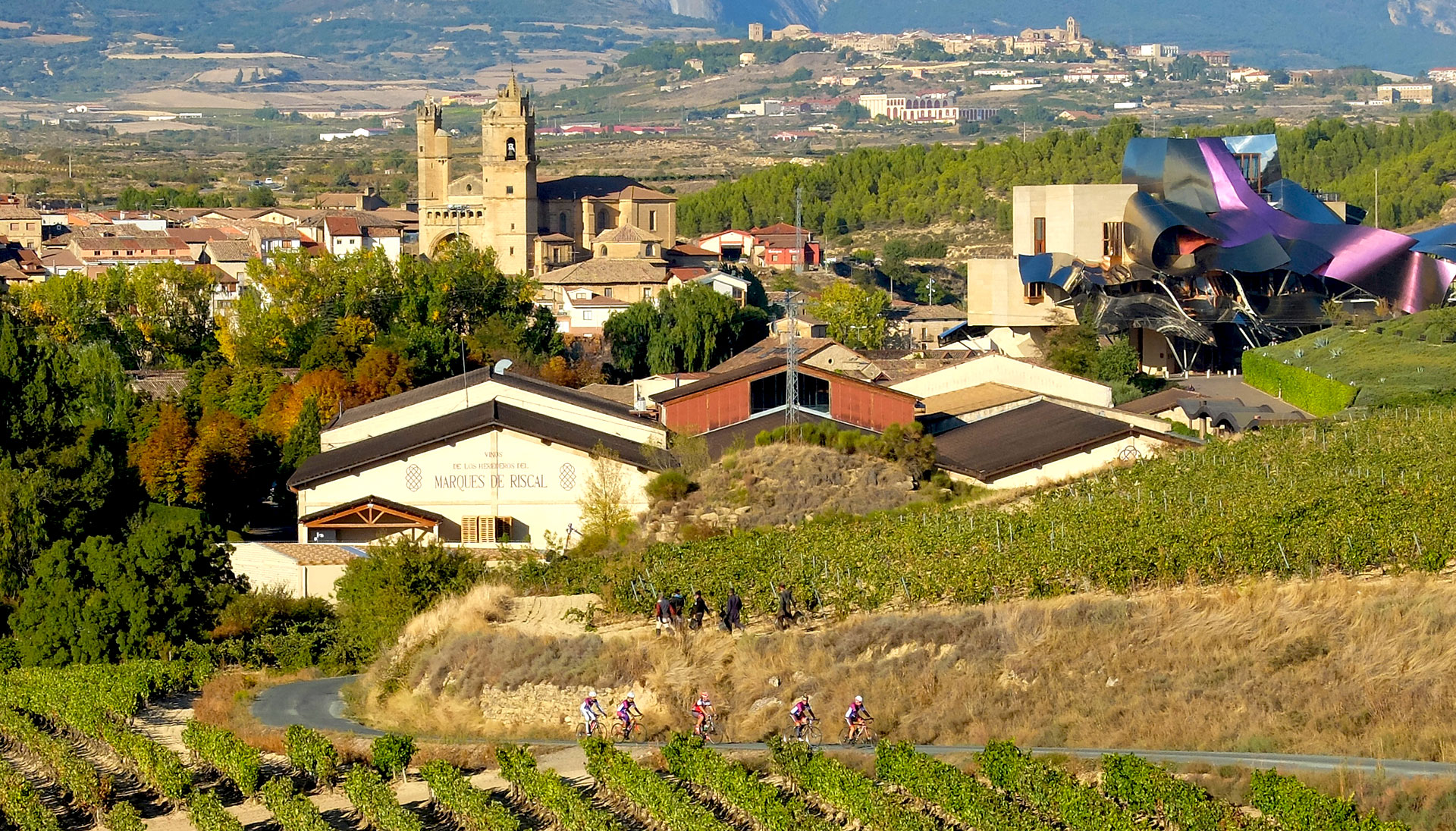 Hotel-Marques-de-Riscal