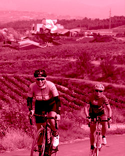 Stage-road-girls-in-Marques-de-Riscal