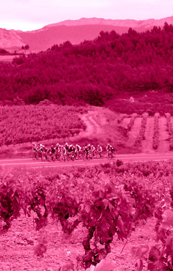 road-cicloturista-Vitoria