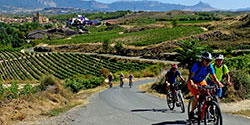 Bikers and Marques de Riscal winerie